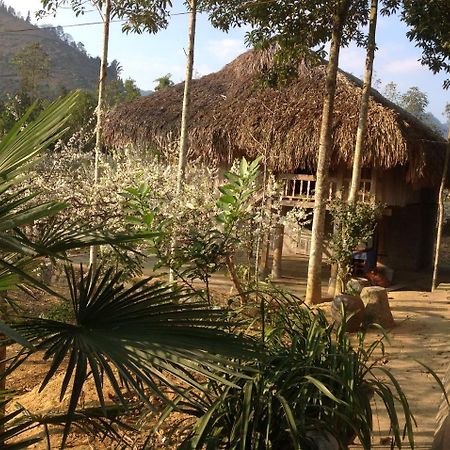 Sa House Bac Ha Apartamento Exterior foto