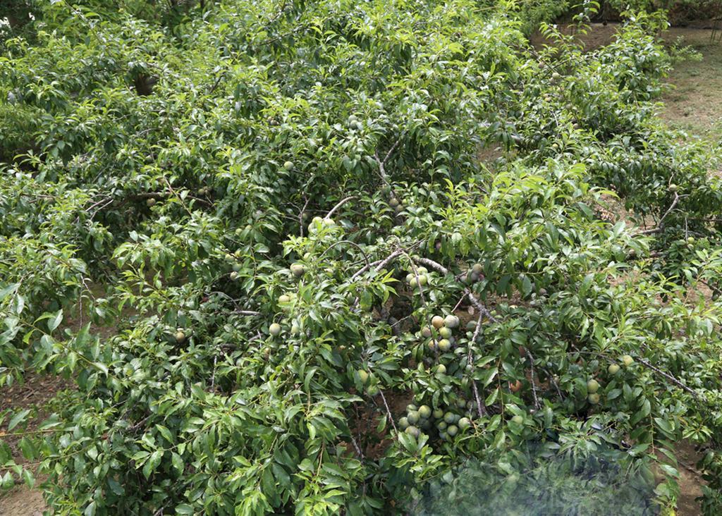 Sa House Bac Ha Apartamento Exterior foto
