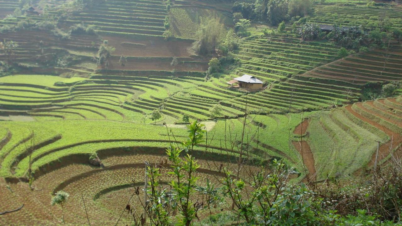 Sa House Bac Ha Apartamento Exterior foto