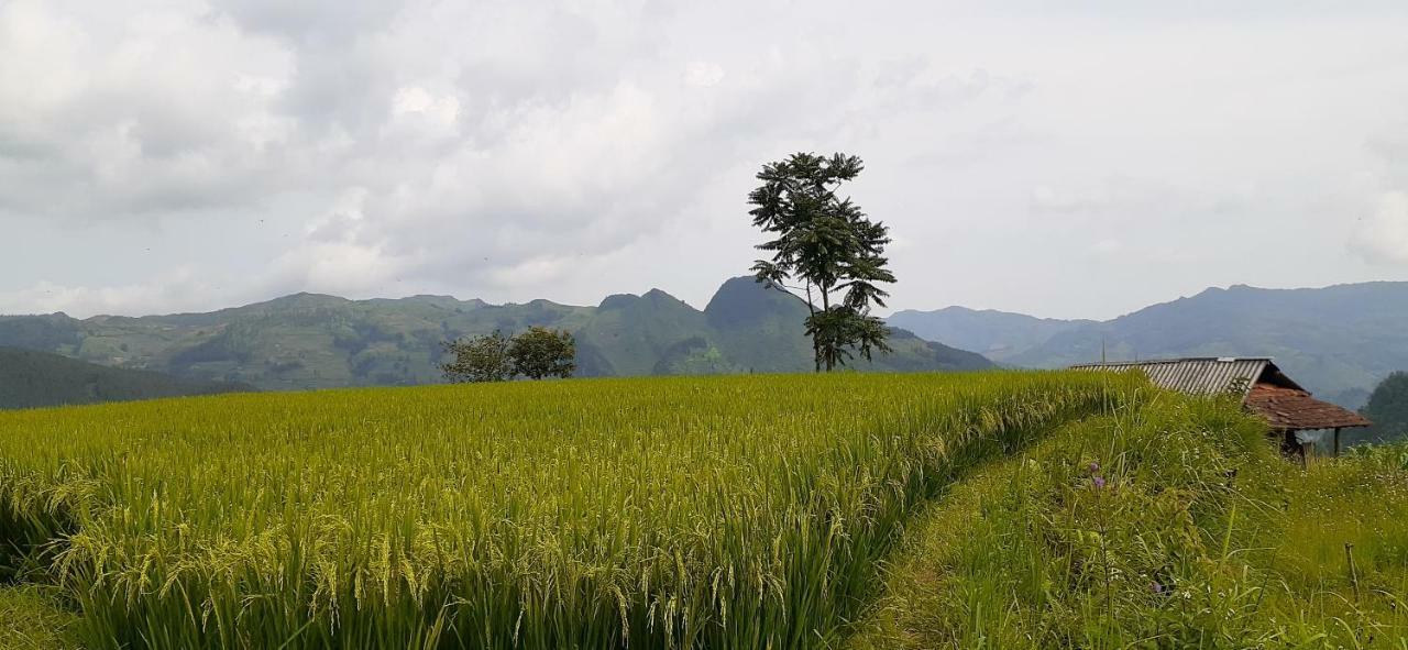 Sa House Bac Ha Apartamento Exterior foto
